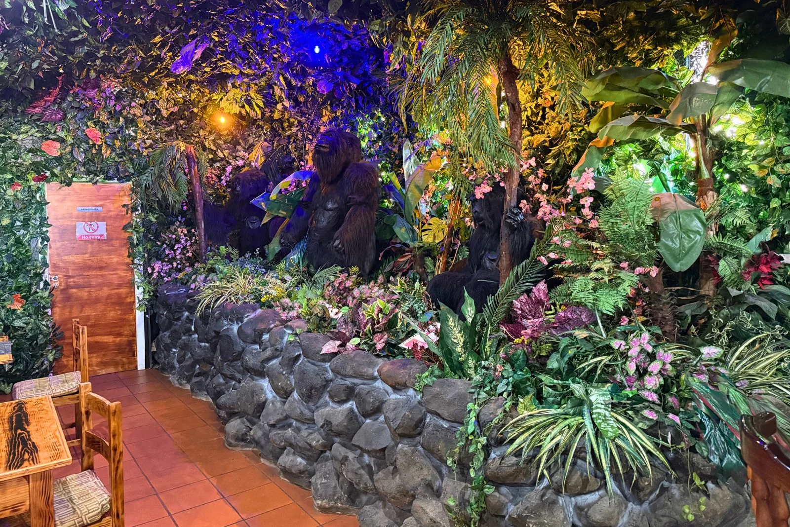Jungle Rain, Madeira