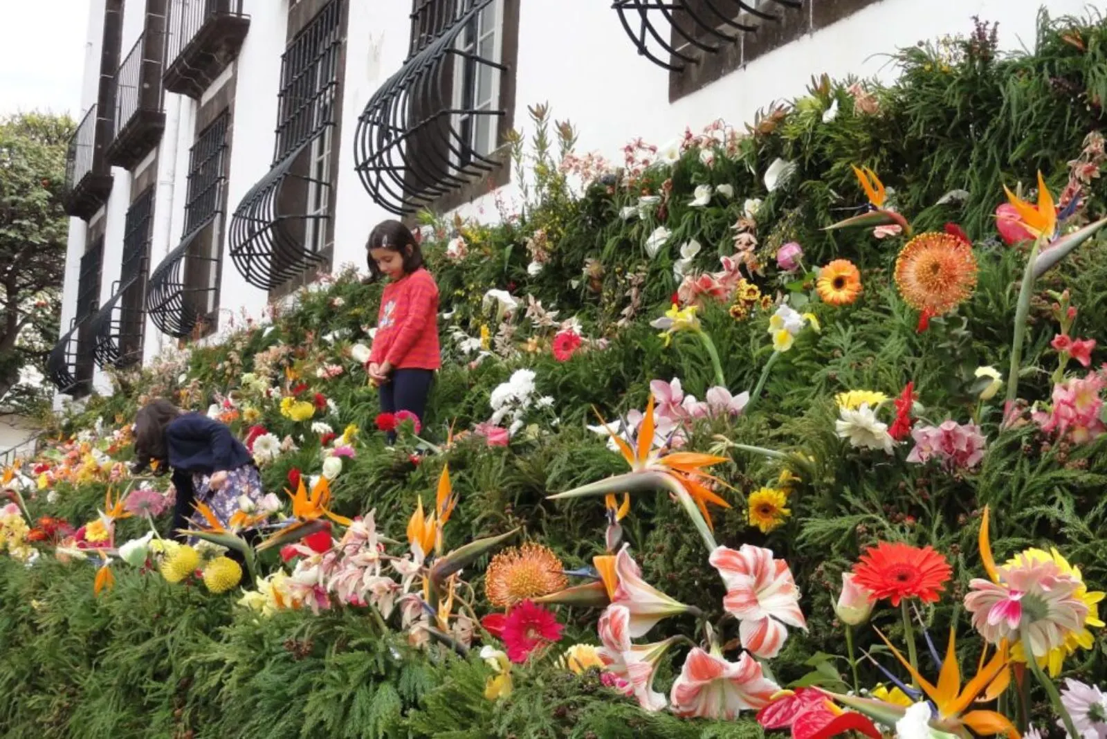 Madeira Flower Festival tapetes florais flower carpets Avenida Arriaga Funchal 2026