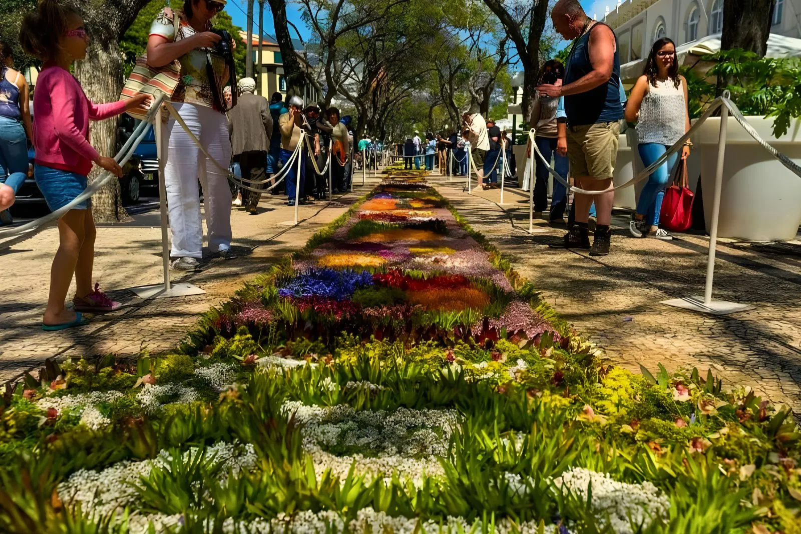 Madeira Flower Festival 2026 parade route map Avenida do Mar Funchal grandstand positions