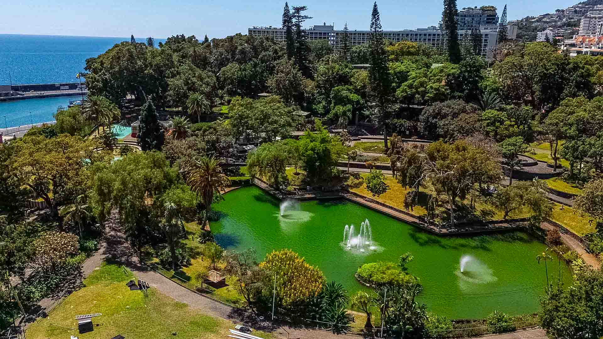 Parque Santa Catarina Funchal public park harbor view palm trees ocean Atlantic swan lake peaceful gardens Madeira Portugal