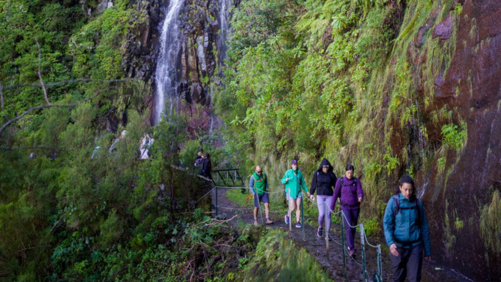 Small group guided levada walk in Madeira with local guide leading path through forest