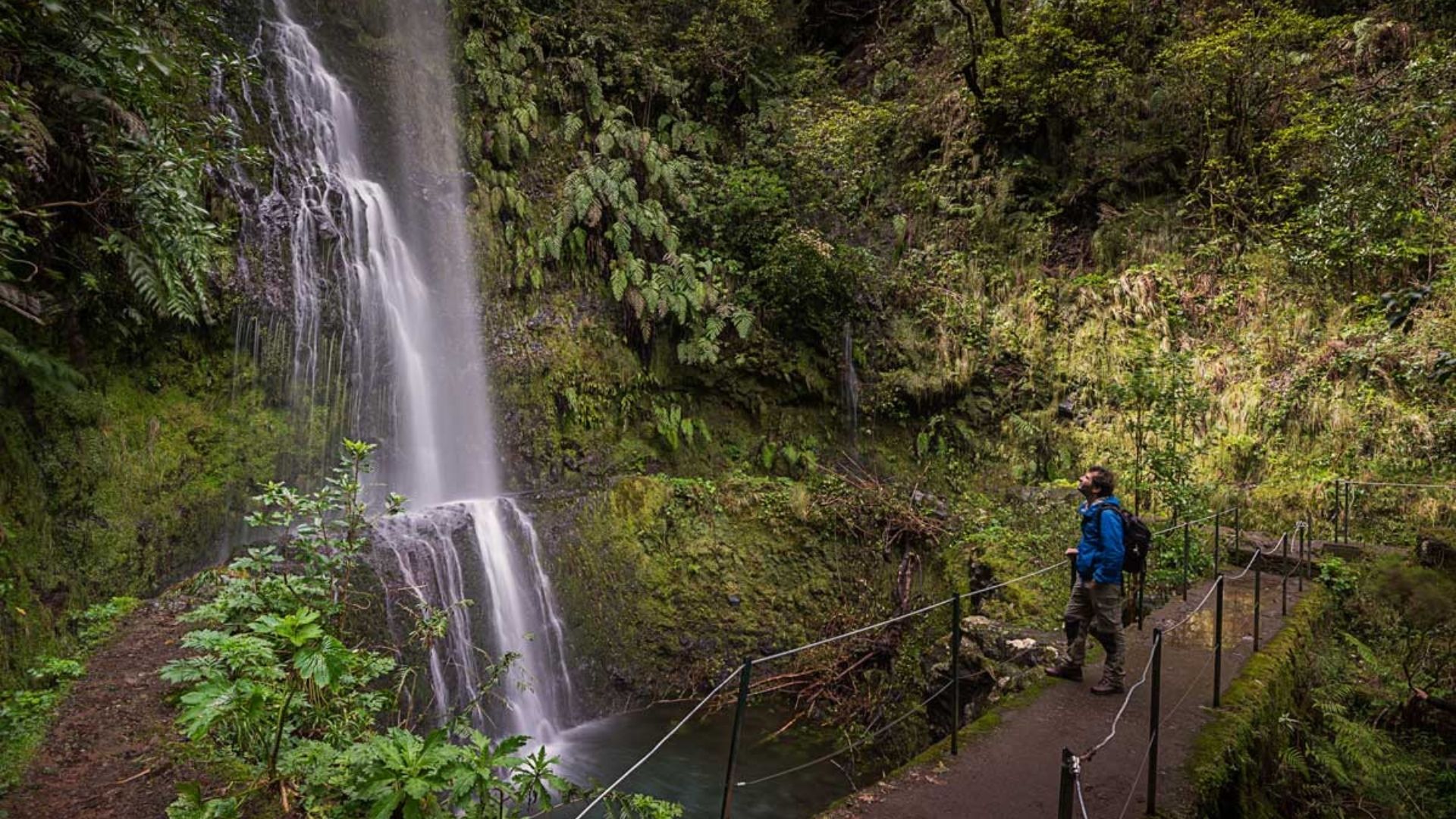 Hikers at a Madeira levada trailhead with transfer minibus in background