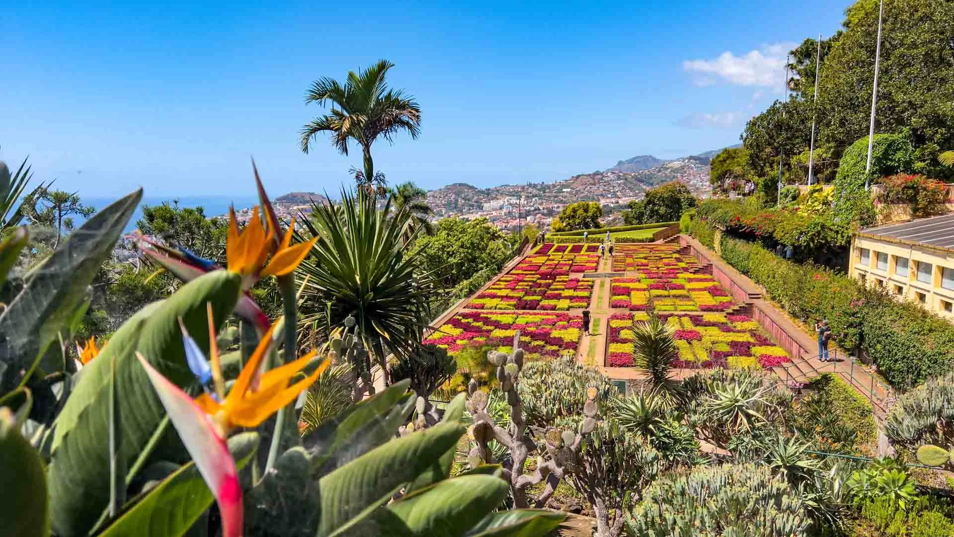 Jardim Botânico Funchal Botanical Garden terraced gardens plants five continents panoramic valley view peaceful cable car Madeira
