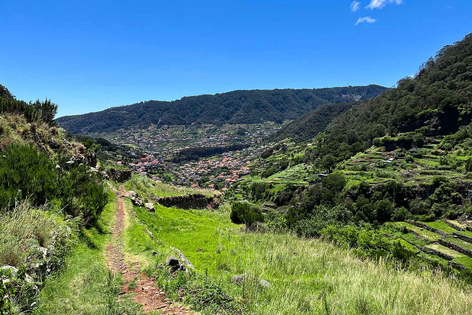 Solo hiker checking GPS app on a levada walk in Madeira without a guide